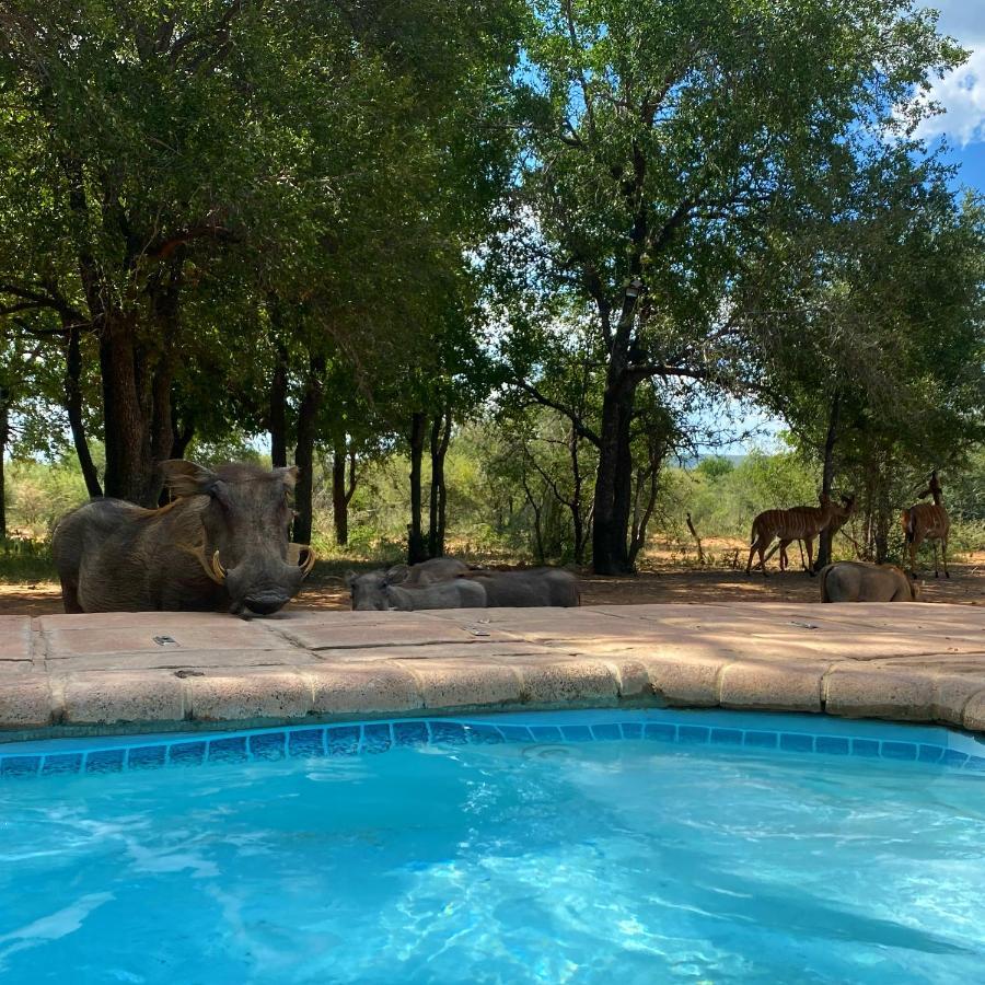 Twiga Lodge Mabalingwe Bela-Bela Exterior photo